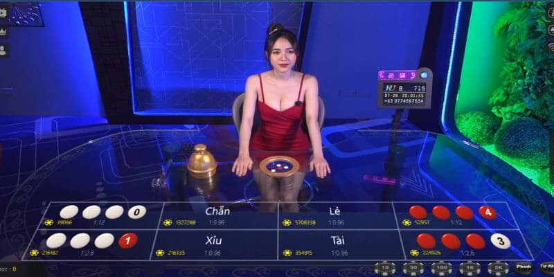 Các thuật ngữ cửa cược phổ biến trong game xóc đĩa