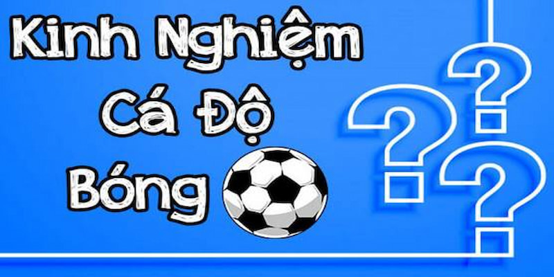 Kinh Nghiệm Cược Bóng Đá Hiệu Quả Dành Cho Tân Binh 