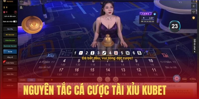 Nguyên tắc cá cược tài xỉu KUBET cơ bản nhất